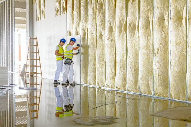 Best Insulation Maintenance and Repair in East Dublin, GA